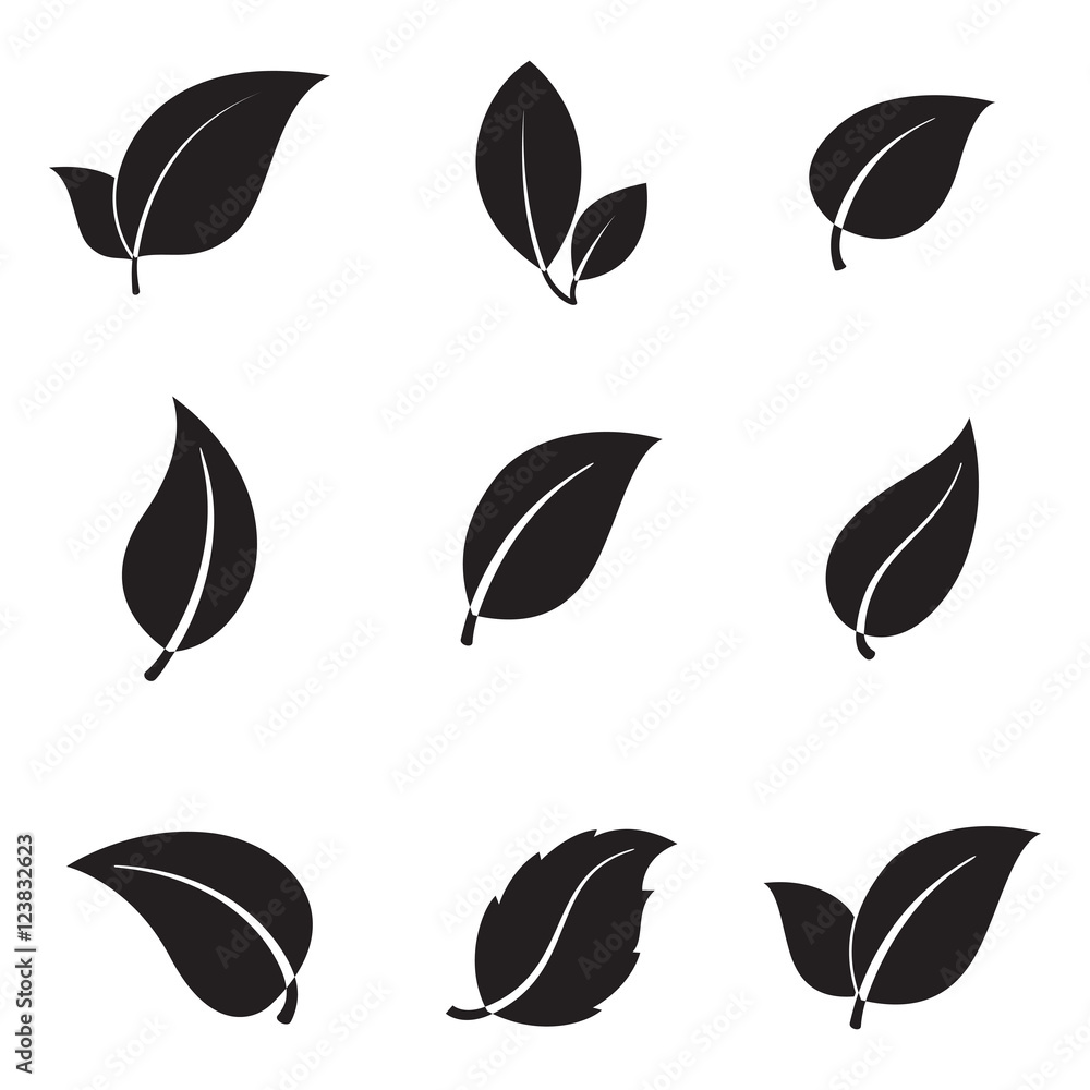 Fototapeta premium Leaves icons