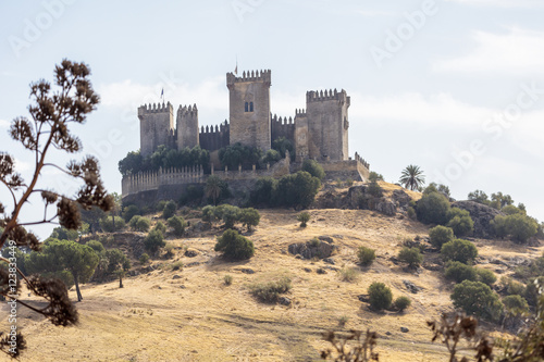 Castillo Almoldóvar del Rio photo