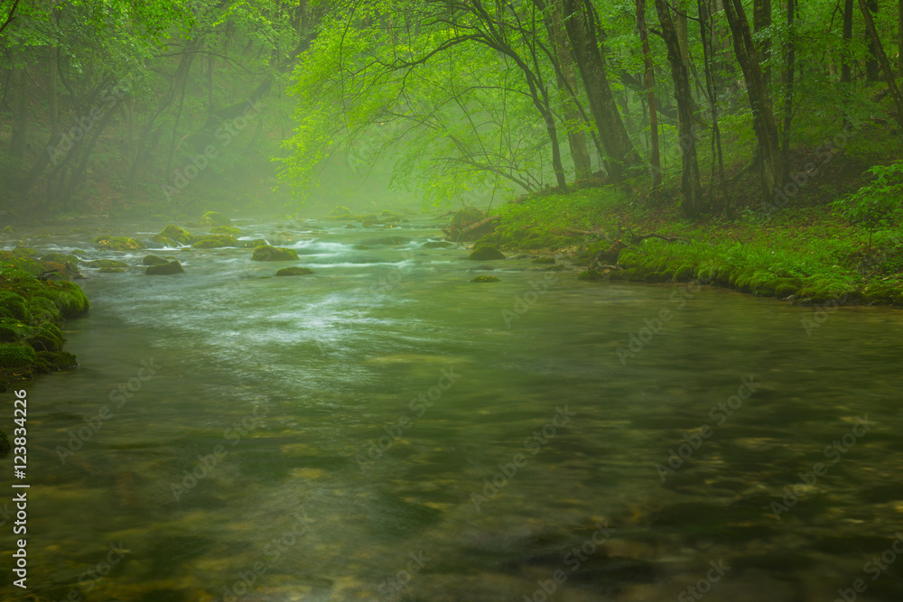 Misty wild river and magic light in the forest in spring