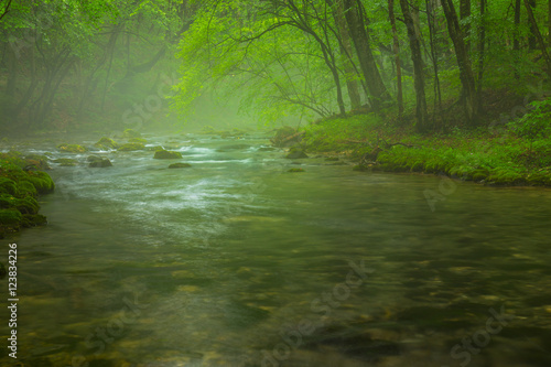 Misty wild river and magic light in the forest in spring © Calin Tatu