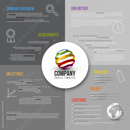 Vector Company infographic overview design template