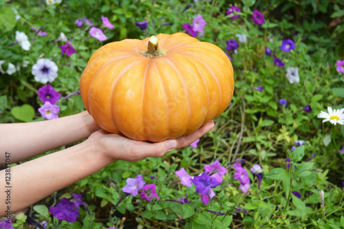 Halloween happy pumpkin. Halloween Pumpkin in hands.