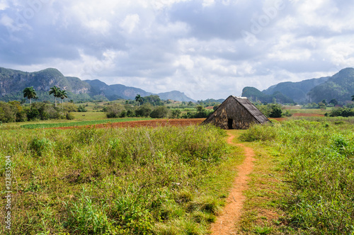 Small hut in Vinales Valley, Cuba