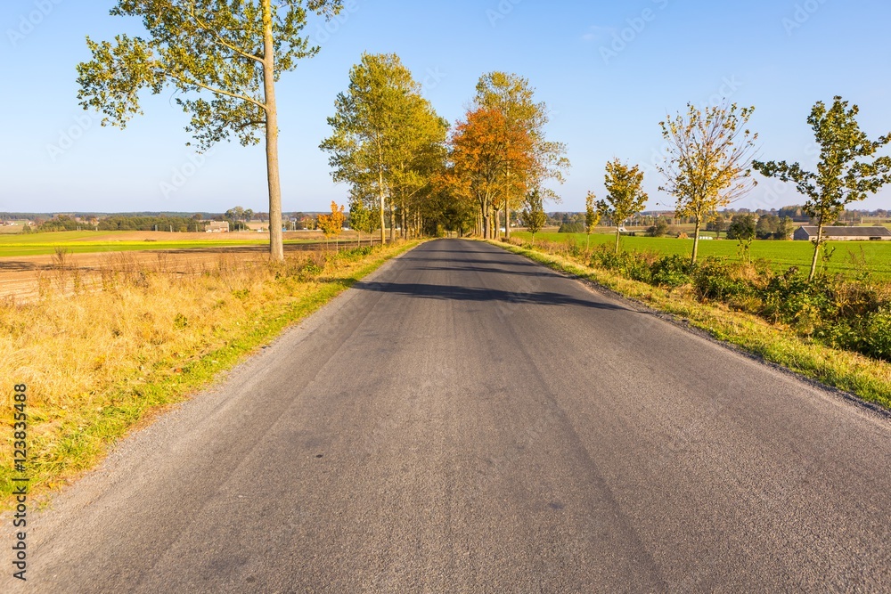 Fototapeta premium Asphalt road to village in Poland.