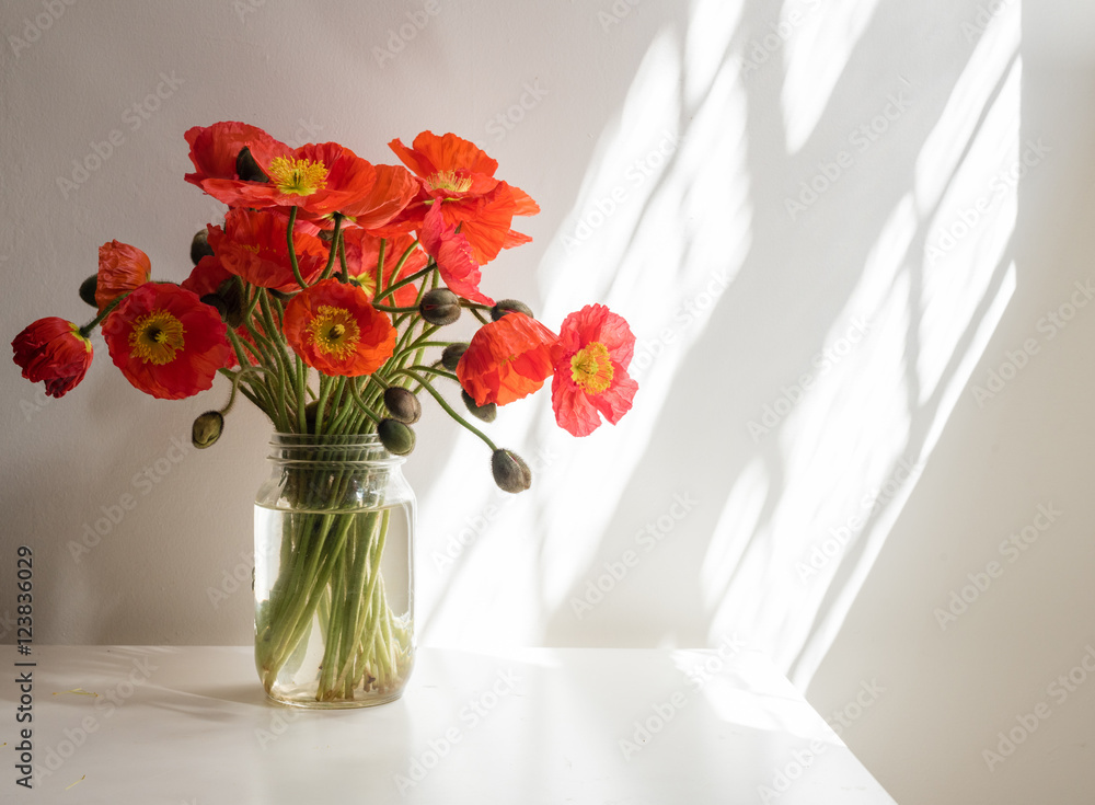 Fototapeta premium Czerwone maki w szklanym słoju na białym stole na białej ścianie z promieniami słonecznymi