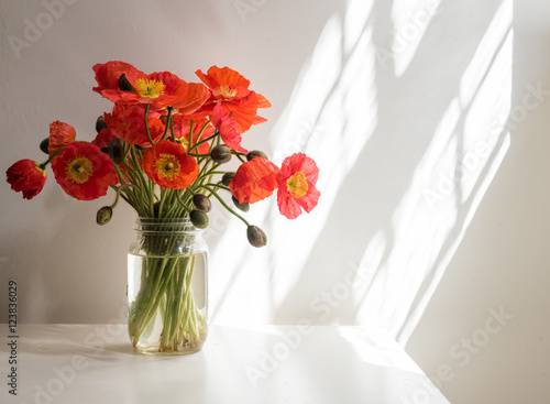 Red poppies in glass jar on white table against white wall with sunlight