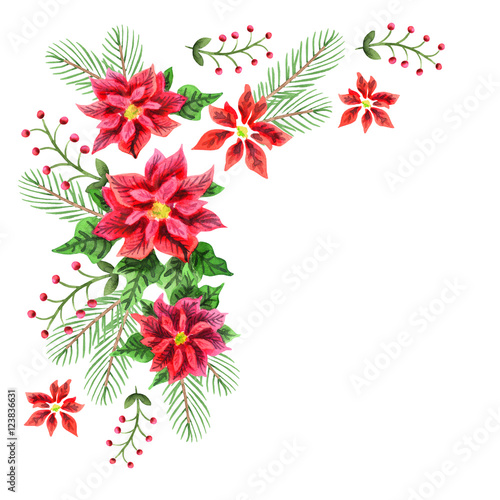 Christmas star. Poinsettia. Watercolor