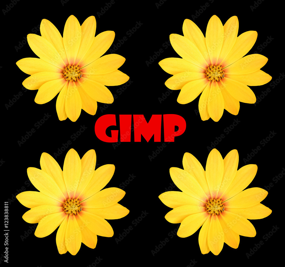 Abstract floral greeting scene Abstract floral greeting scene