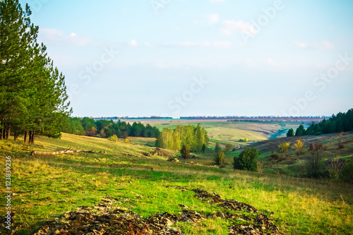 wooded hills on a sunny day  nature background