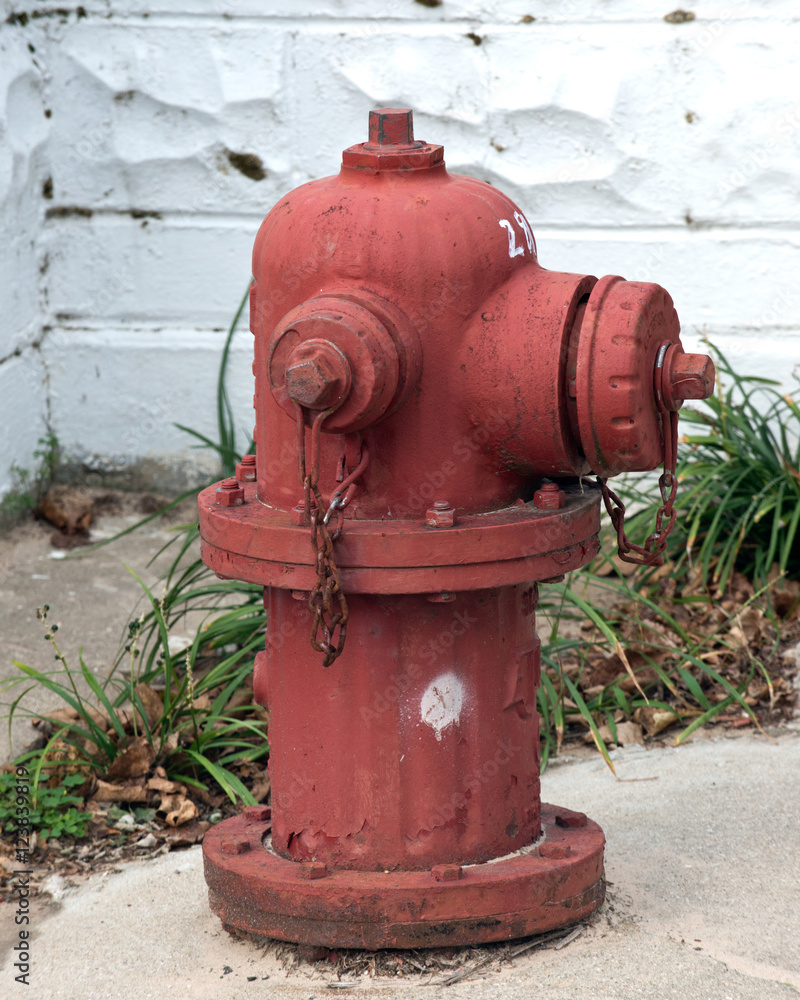 Vertical red fire hydrant on concrete with grass Vertical red fire hydrant on concrete with grass