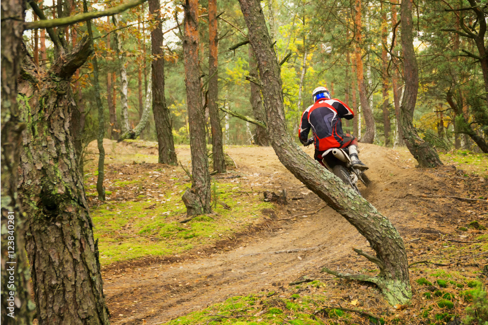 Motocross racer on sandy road in autumn forest Motocross racer on sandy road in autumn forest