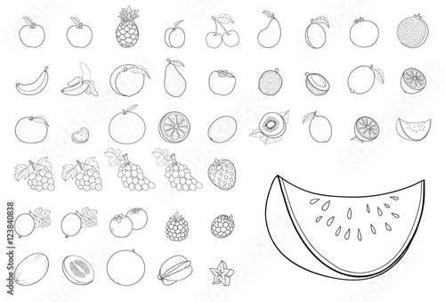 42 Illustrationen von 27 verschiedenen Obstsorten