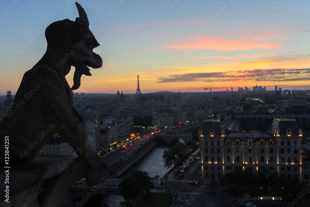 Chimeras of Notre Dame