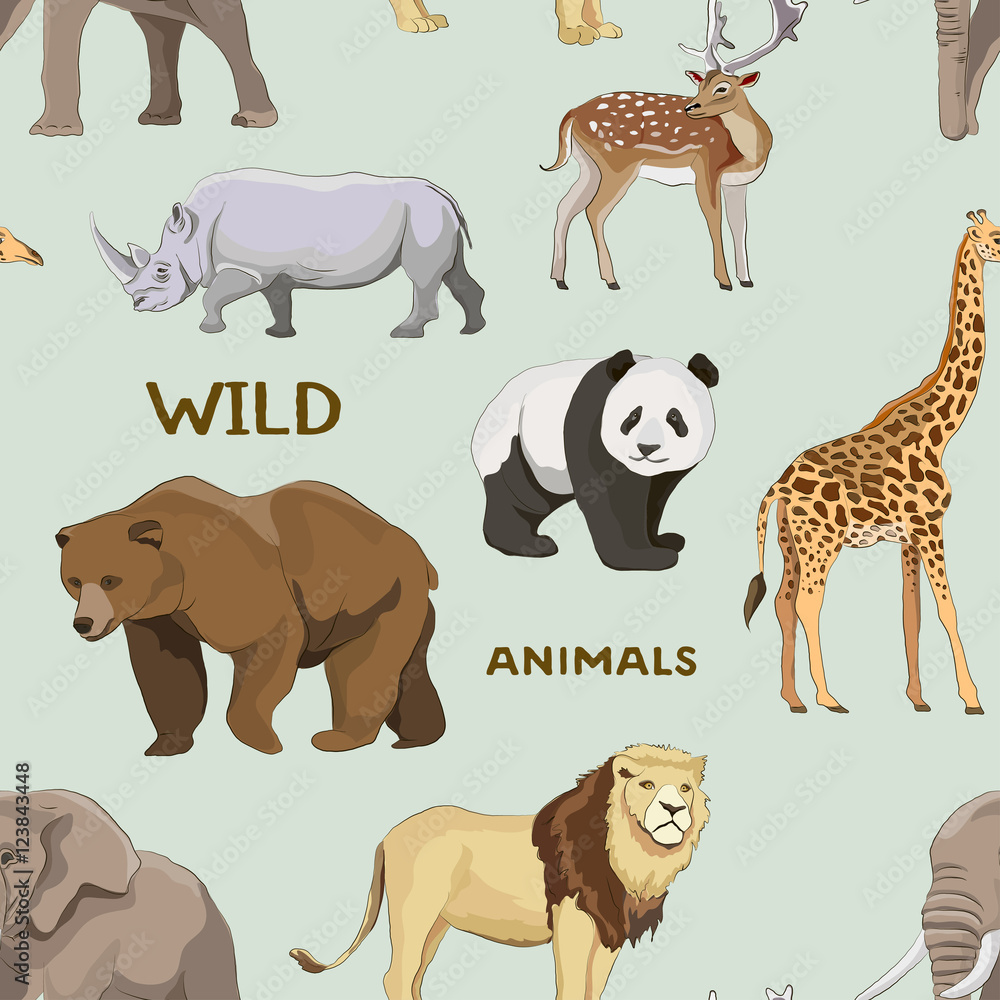 Obraz premium Wild animals set pattern