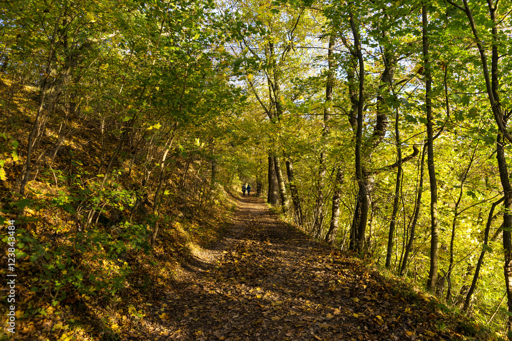 Naklejka premium Herbst