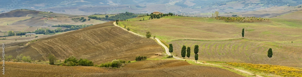 panorama of farm road between fields in Italy