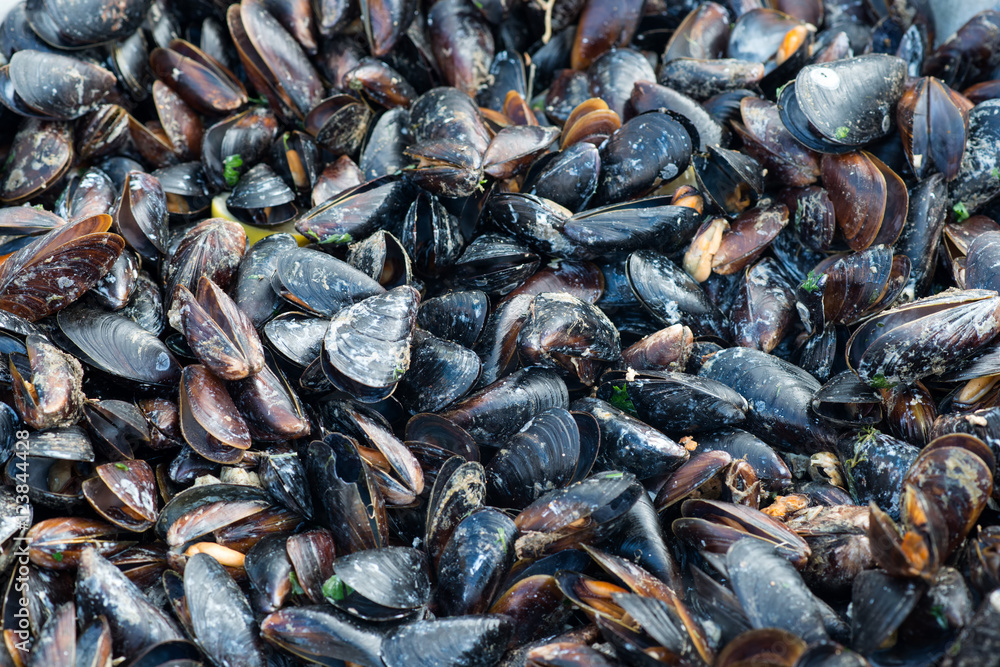 mussels background. street food