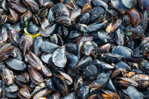 mussels background. street food