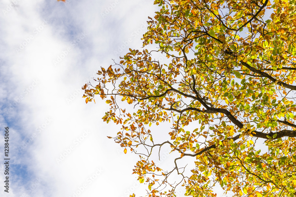 Herbst Herbst