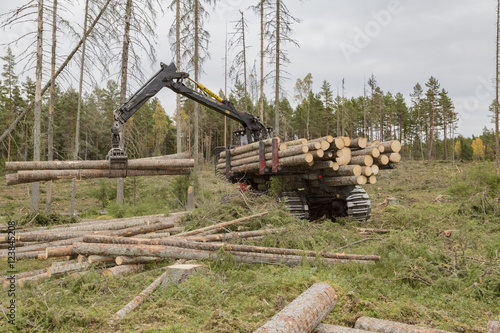 forwarder loading logs