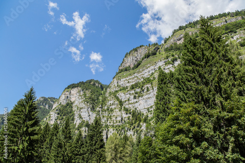 Natura al Rifugio Furio Bianchet, Parco Nazionale Dolomiti Bellunesi photo