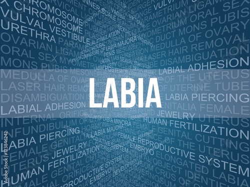 labia