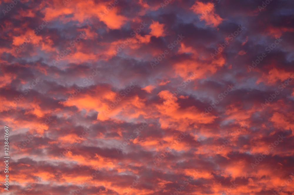 Red Clouds at Sunrise