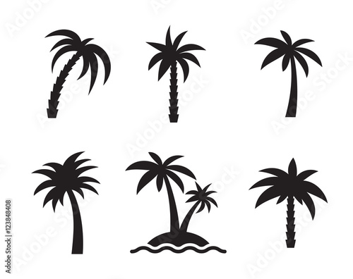 Fotografia palm icons set