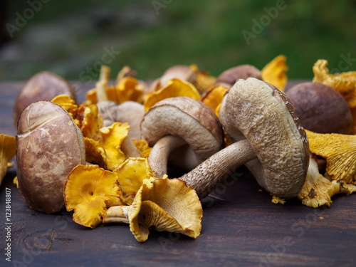Chanterelle and bolete mushrooms on a table