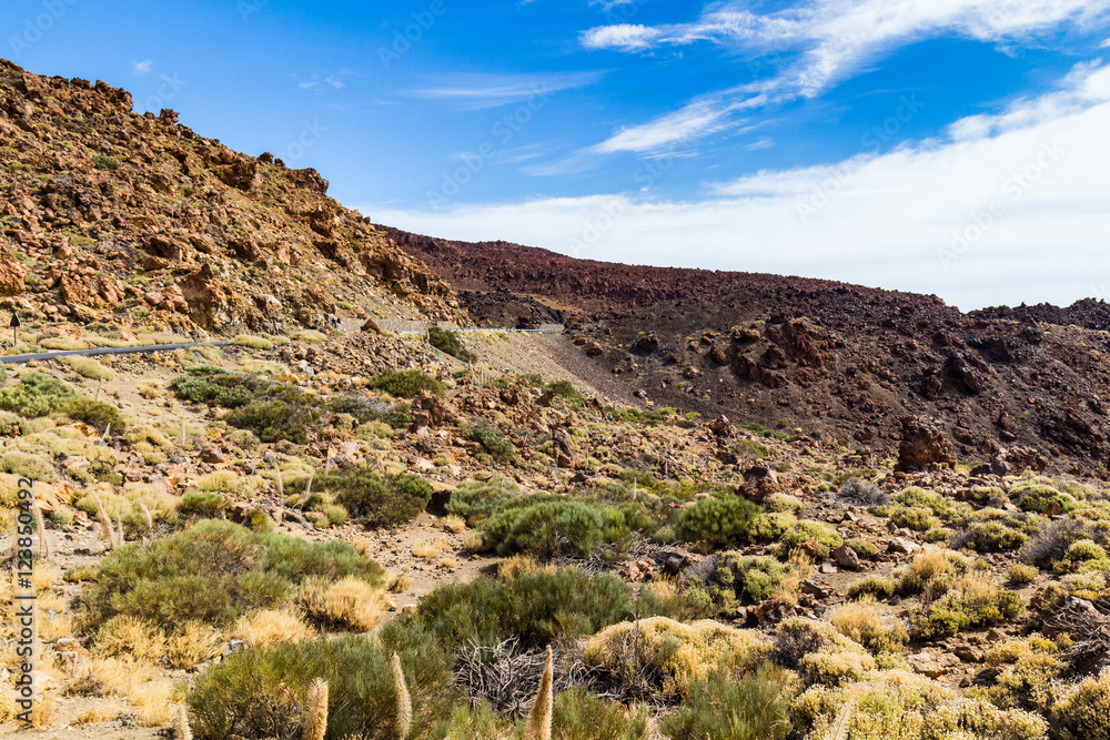 Volcanic landscape with erosion and sparse vegetation, Teide National Park. Tenerife, Canary islands, Spain