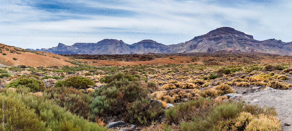 Volcanic landscape with erosion and sparse vegetation, Teide National Park. Tenerife, Canary islands, Spain