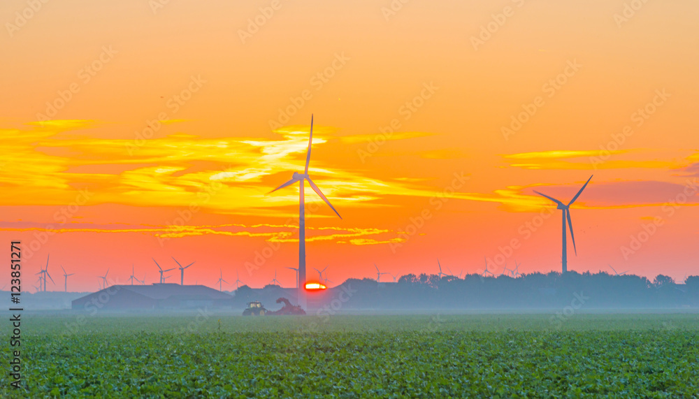 Obraz premium Wind turbines in a field at sunrise