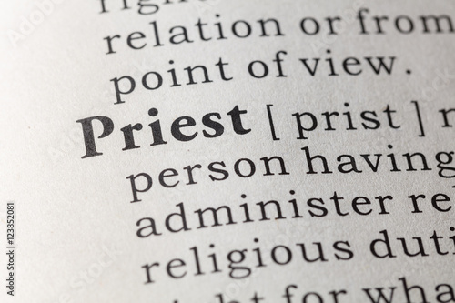 Dictionary definition of priest