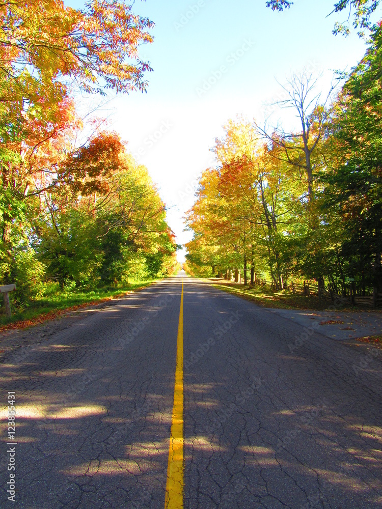 Fototapeta premium Driving on a sunny day