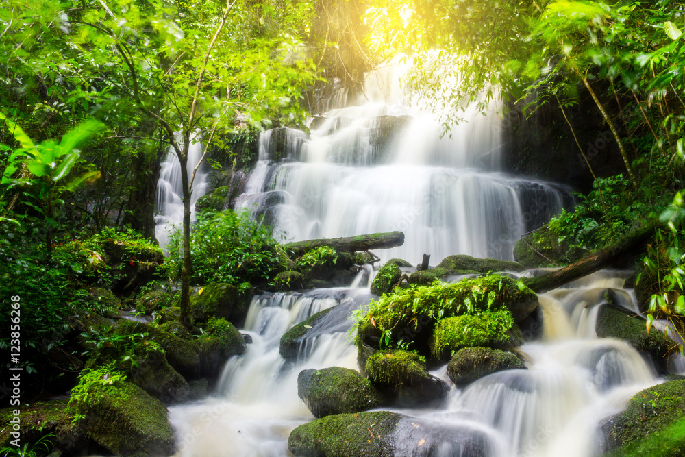 Mun Dang Waterfall in deep forest fresh green rain season in Tha Mun Dang Waterfall in deep forest fresh green rain season in Tha
