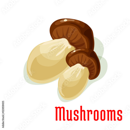 Boletus or porcini edible mushroom cartoon icon