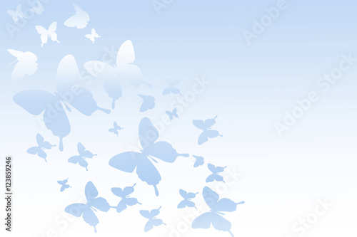 Butterflies flying in the sky 