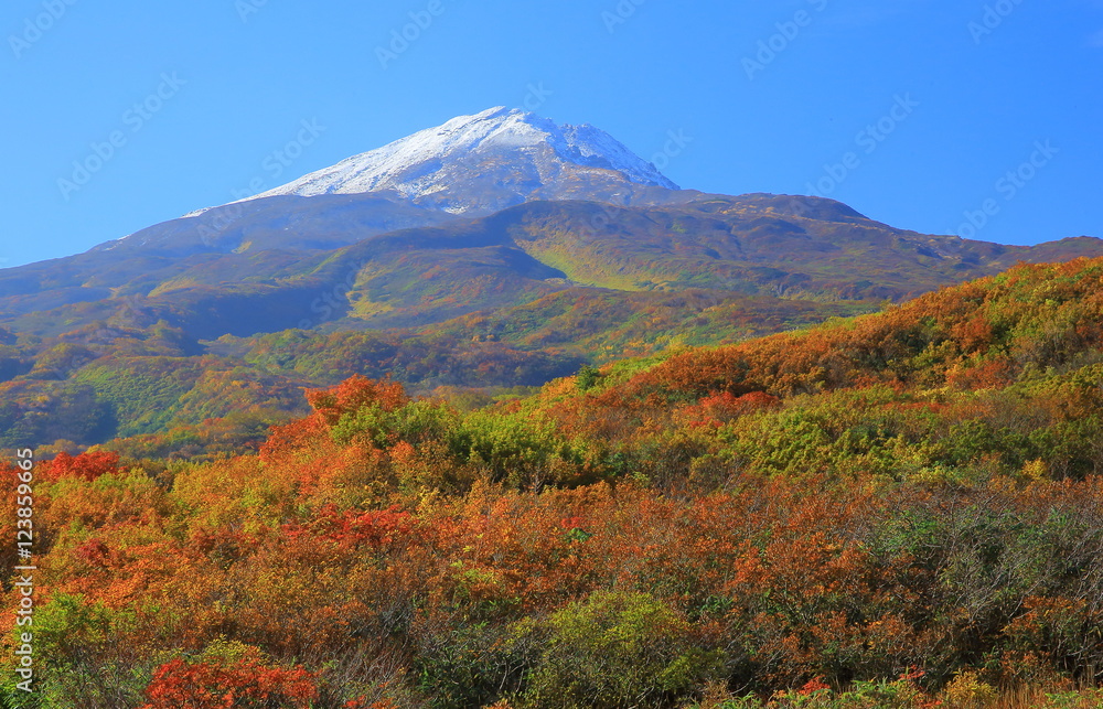 秋田県　紅葉の竜ヶ原湿原