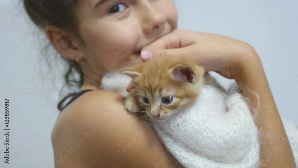 girl petting a small red cat kitten holds girl petting a small red cat kitten holds