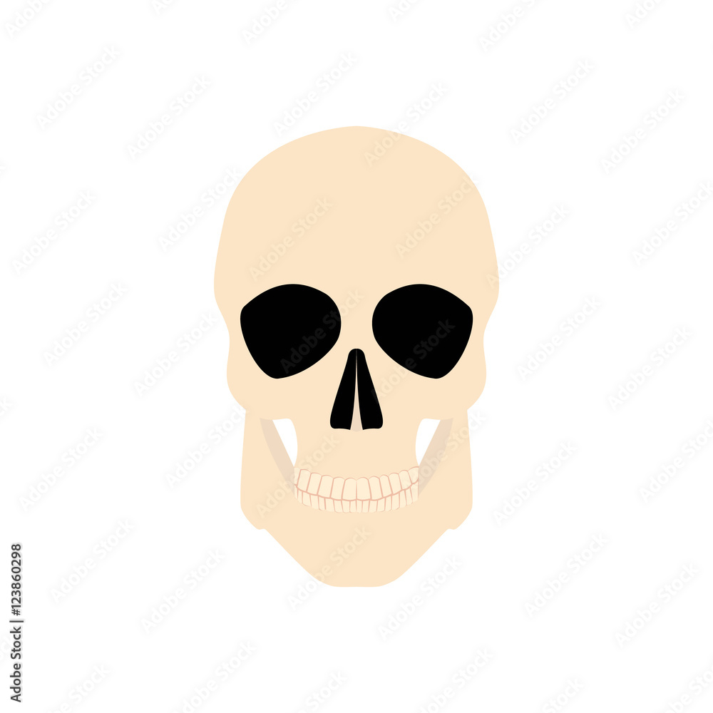 Icon human skull