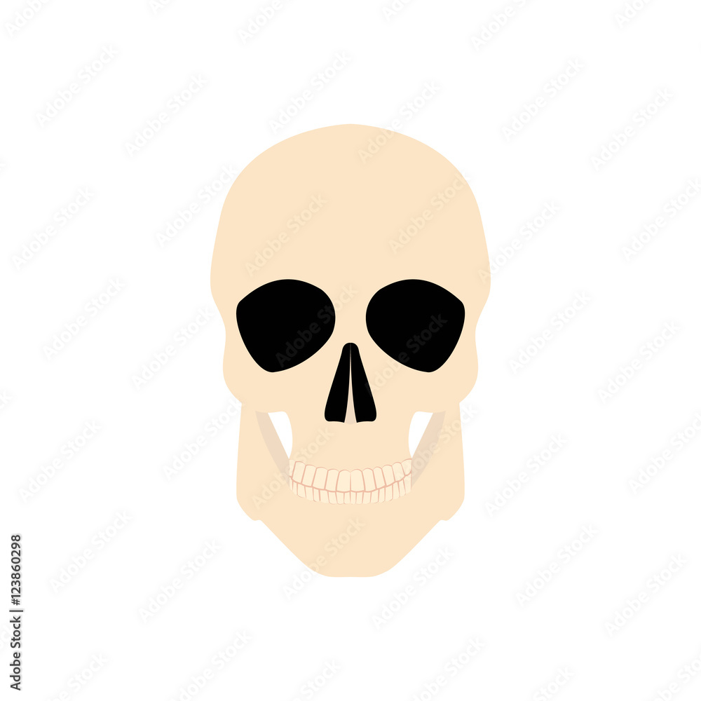 Fototapeta premium Icon human skull