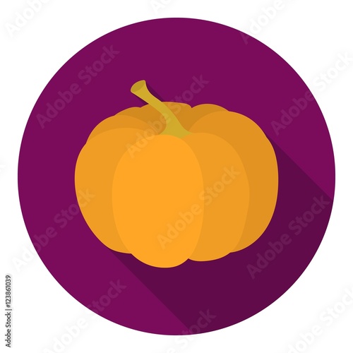 Pumpkin icon in flat style isolated on white background. Canadian Thanksgiving Day symbol stock vector illustration.