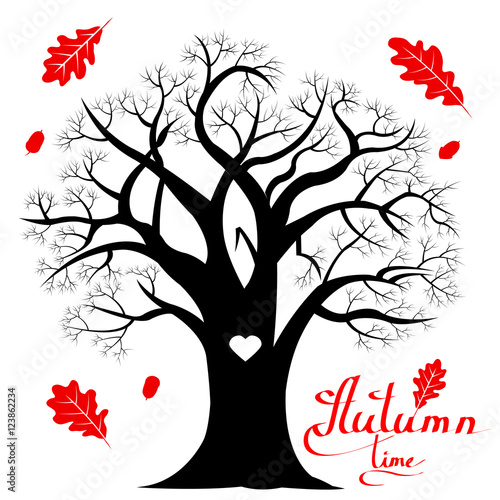 Black oak, red leaves, lettering