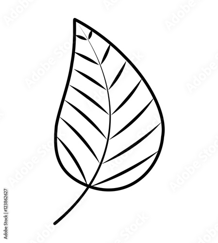 leafs plant decoration isolated icon vector illustration design