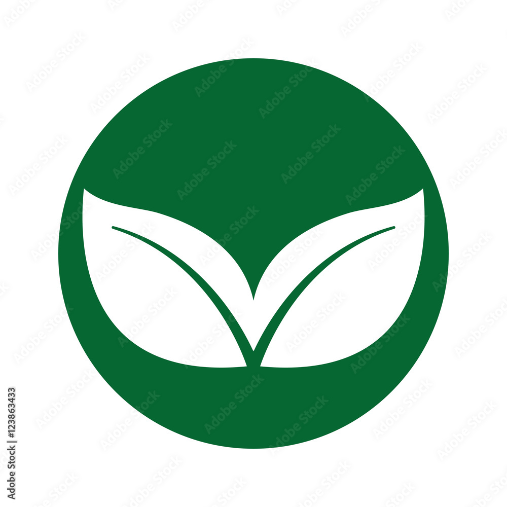 leafs plant ecology symbol vector illustration design