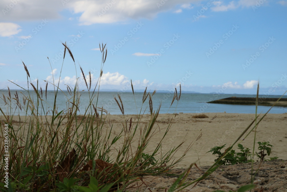 沖縄にも秋の訪れを感じさせるビーチのススキ