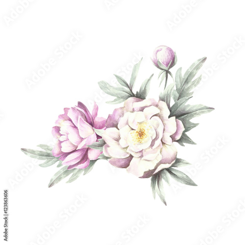 Bouquet of peonies. Hand draw watercolor illustration.