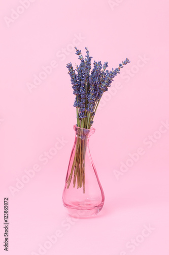 Fototapeta Naklejka Na Ścianę i Meble -  Fragrant lavender in a vase on a pink background minimal style