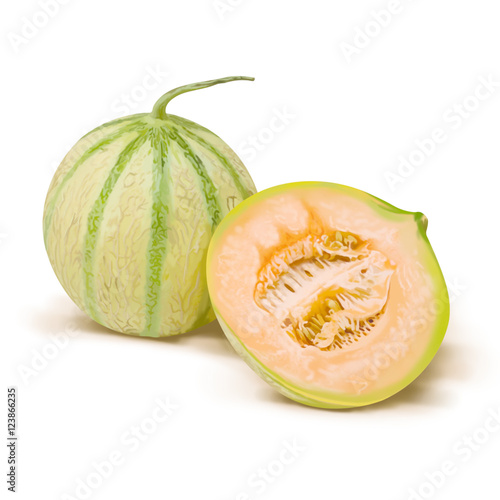 Melon