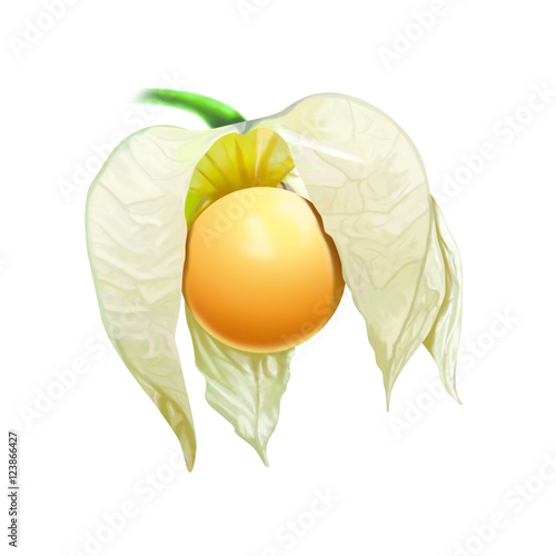 Cape gooseberry/raspberry